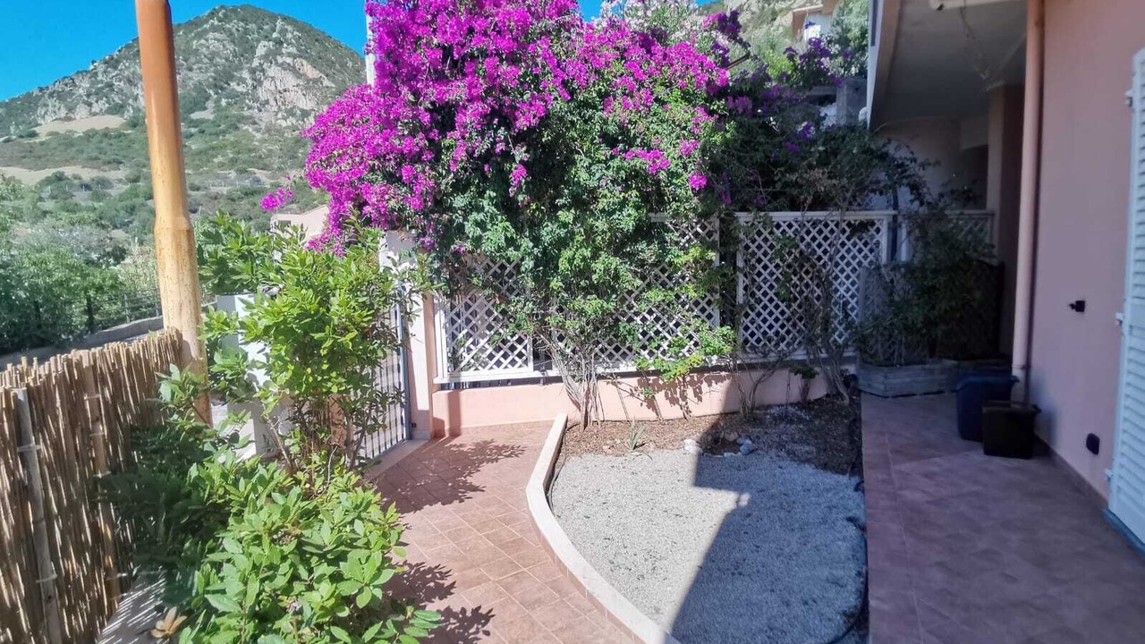 Photo of Outdoor in Nebida
