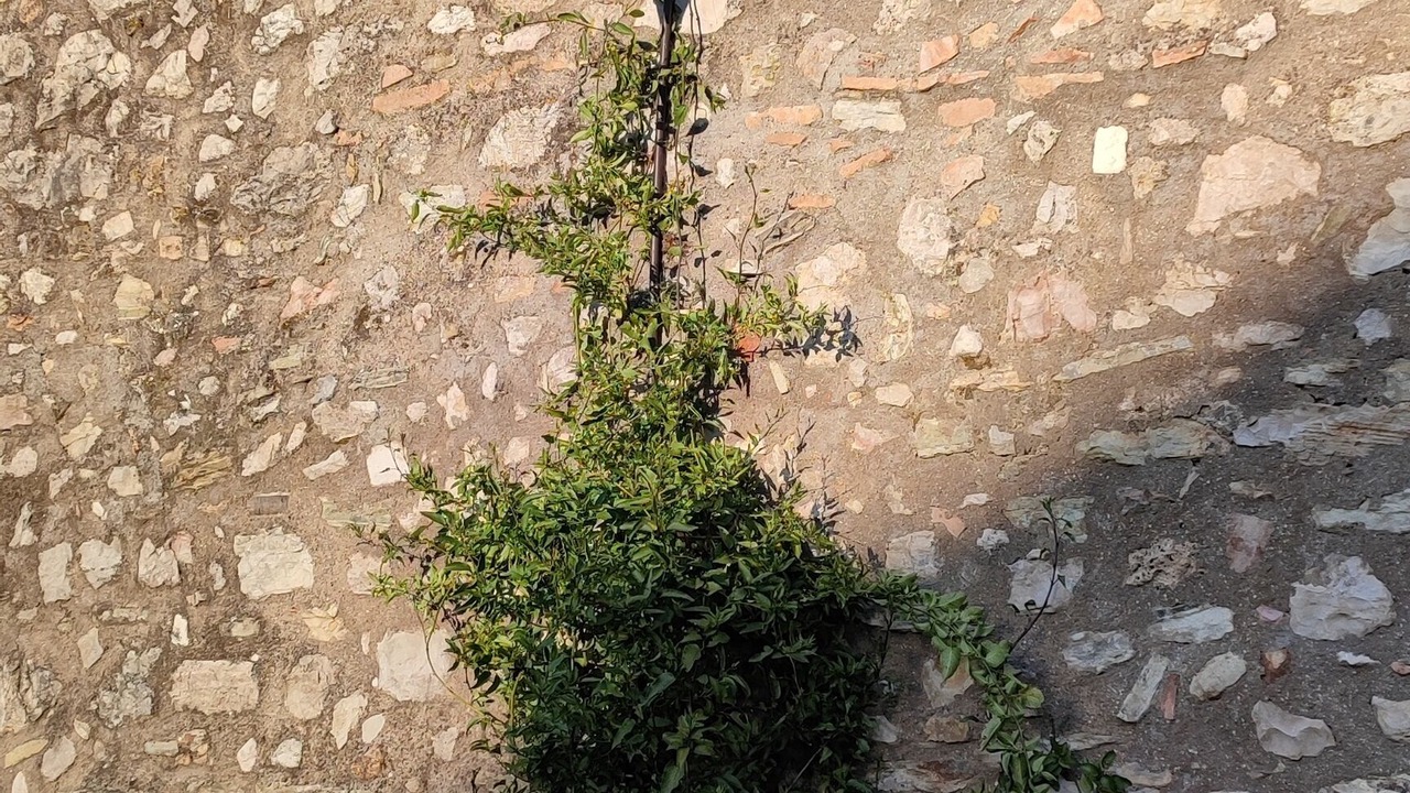 Photo of Outdoor in Spoleto