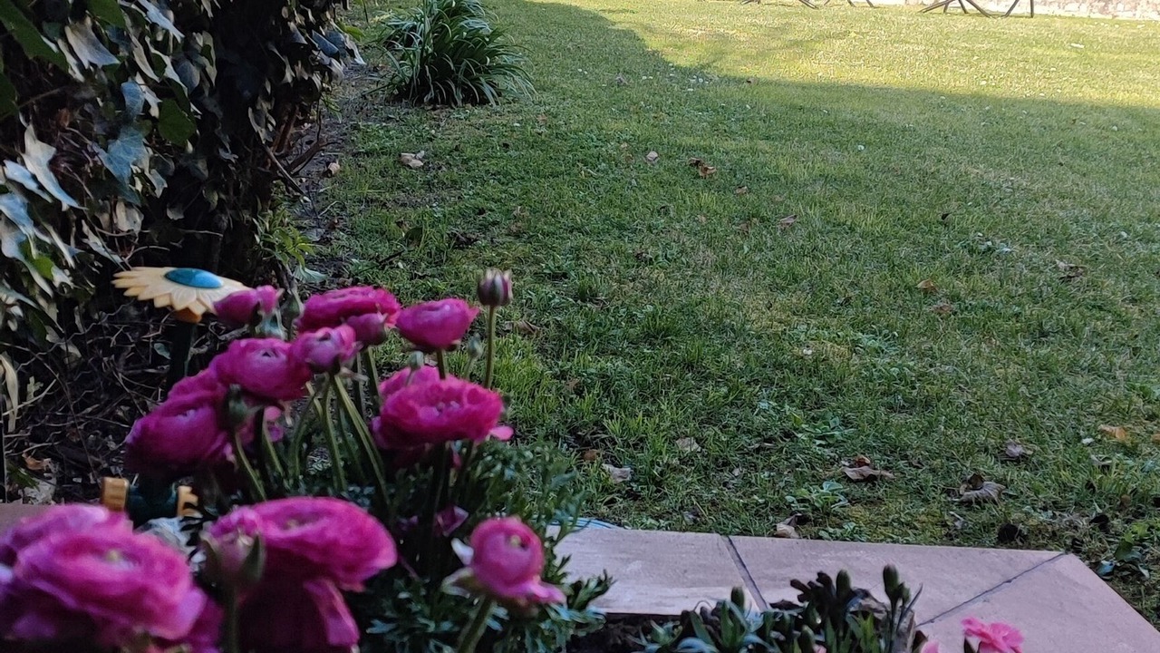 Photo of Outdoor in Spoleto