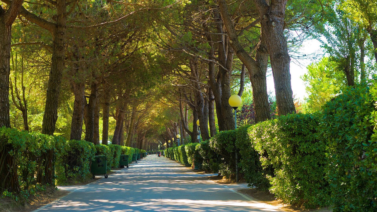 Photo of Outdoor in Cavallino-Treporti