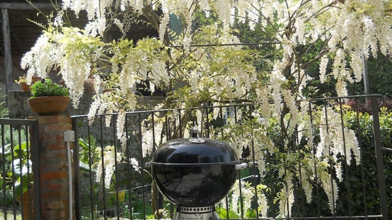 Photo of Outdoor in Pugliola