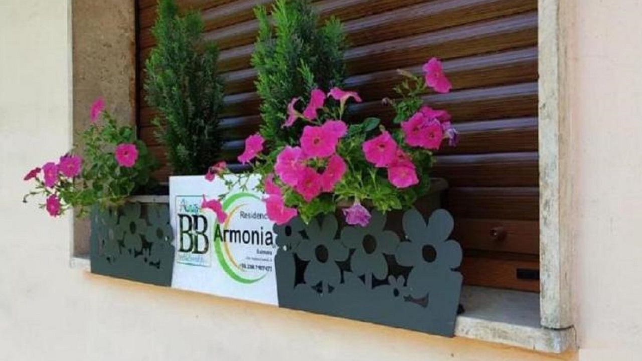 Photo of Outdoor in Sulmona