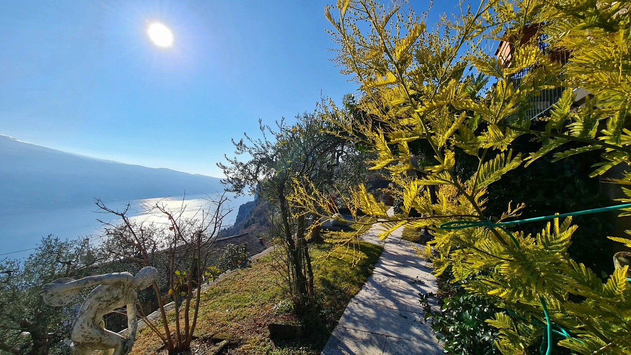 Photo of Outdoor in Arias