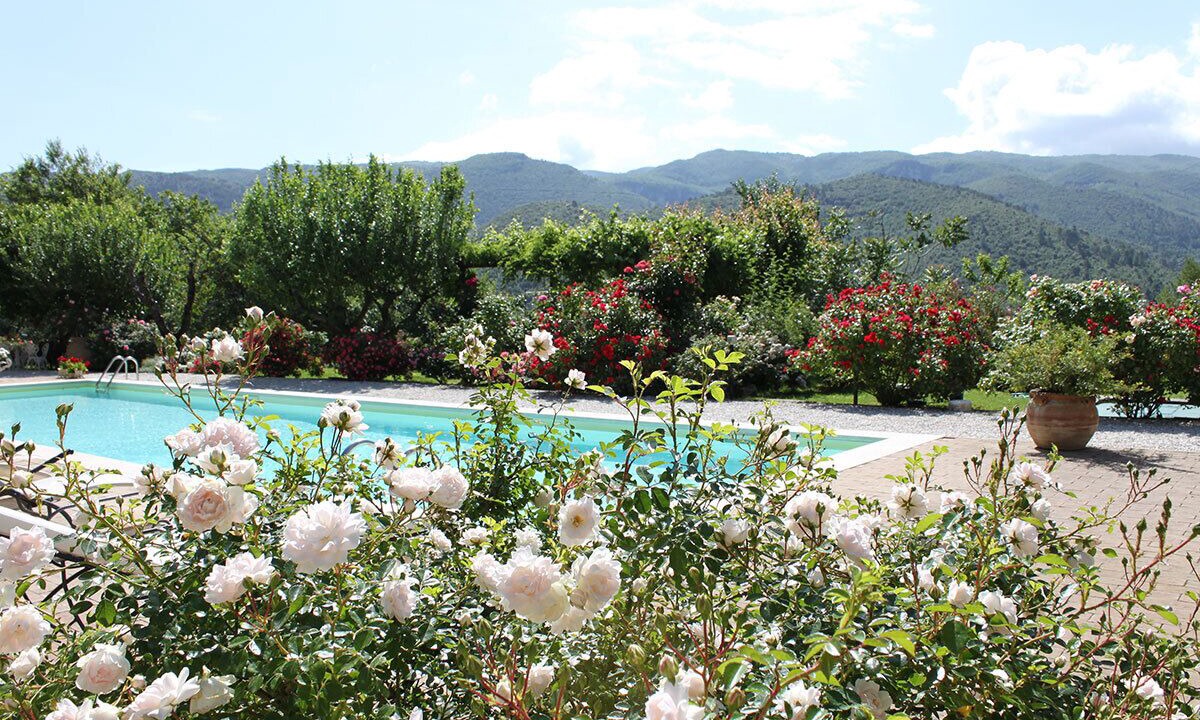 Photo of Outdoor in Spoleto