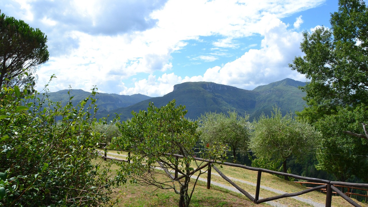 Photo of Outdoor in Mologno