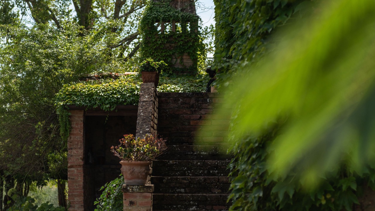 Photo of Outdoor in Siena