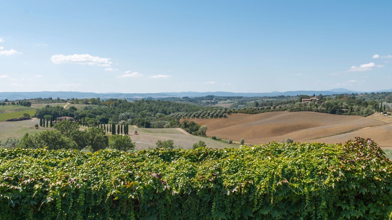 Photo of Outdoor in Siena