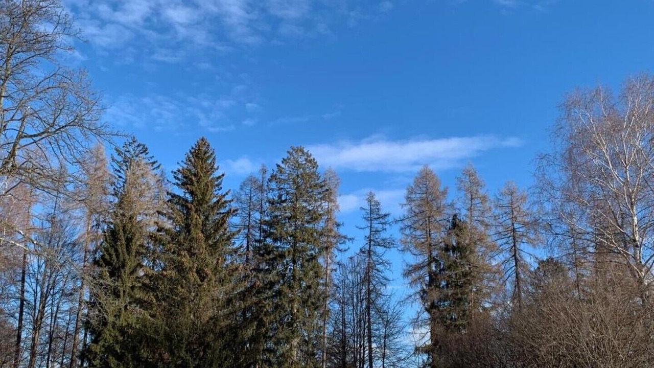 Photo of Outdoor in Civenna