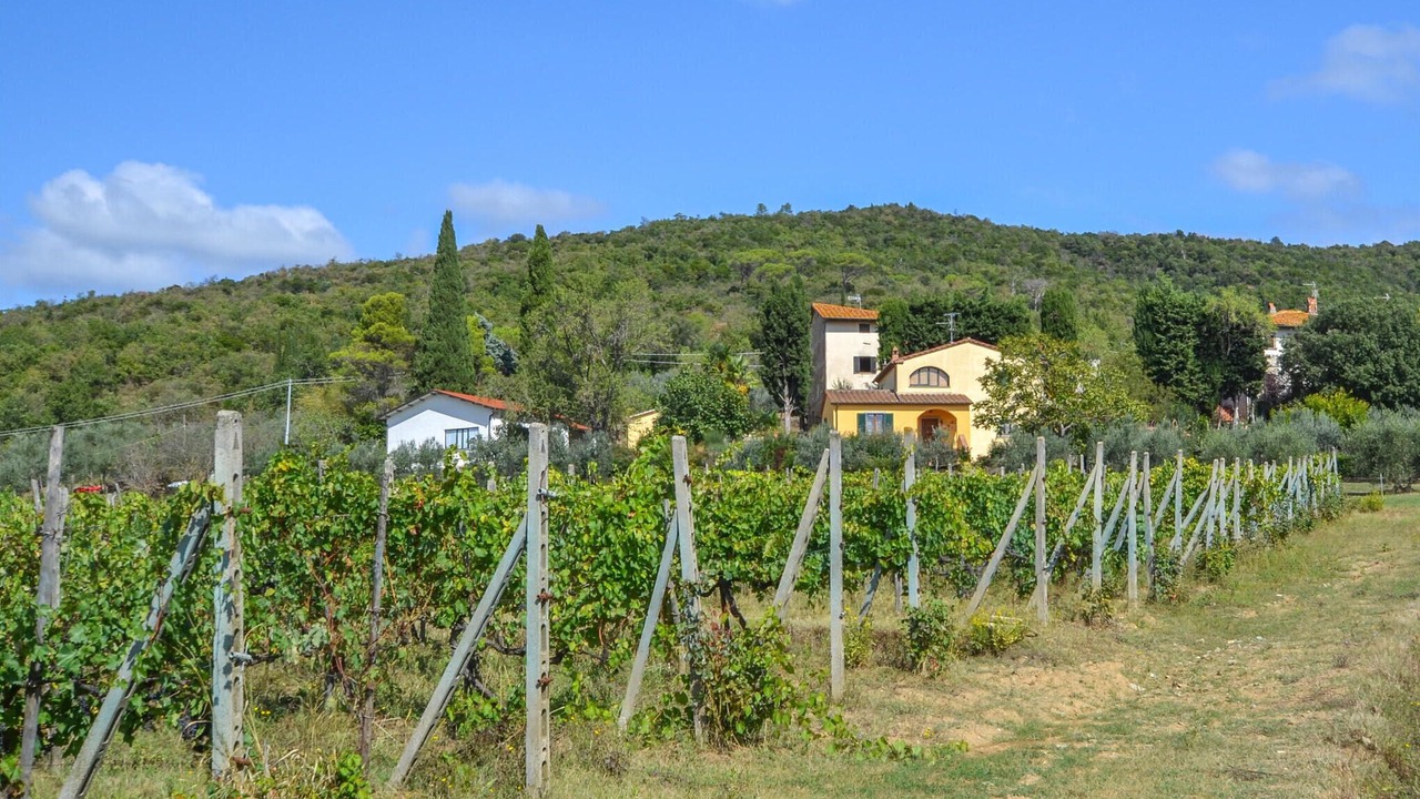 Photo of Others in Le Piazze