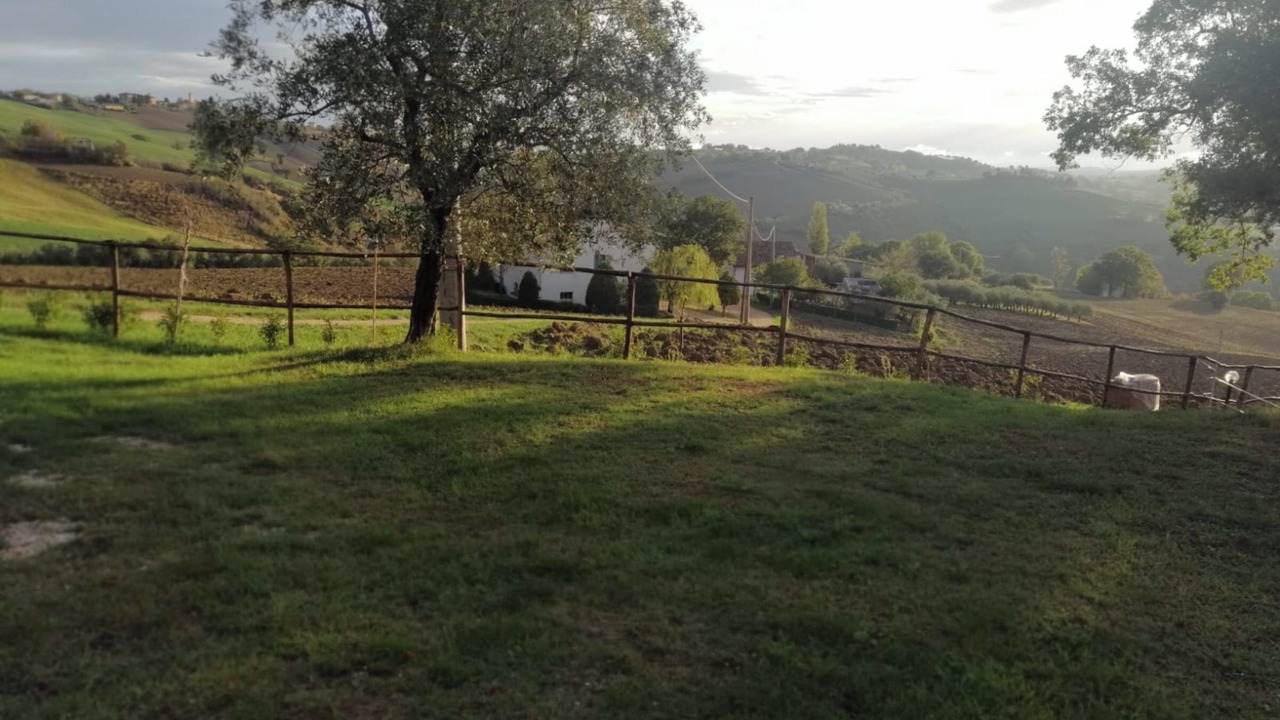 Photo of Outdoor in Tolentino