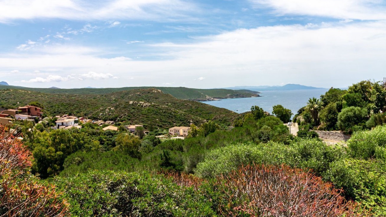 Photo of Others in Torre dei Corsari