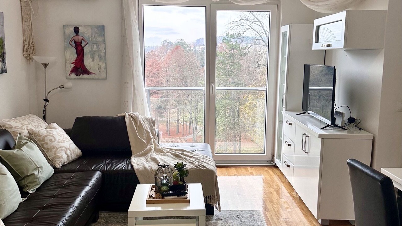 Photo of Livingroom in Vrnjacka Banja
