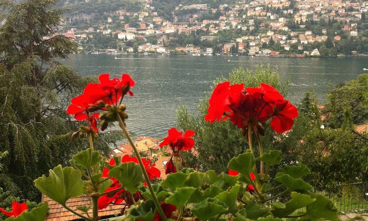 Photo of Outdoor in Torno