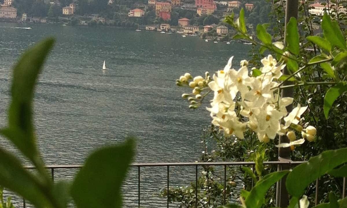 Photo of Others in Torno
