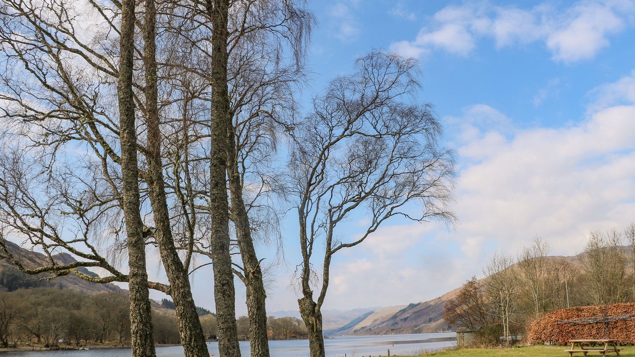 Photo of Others in St Fillans