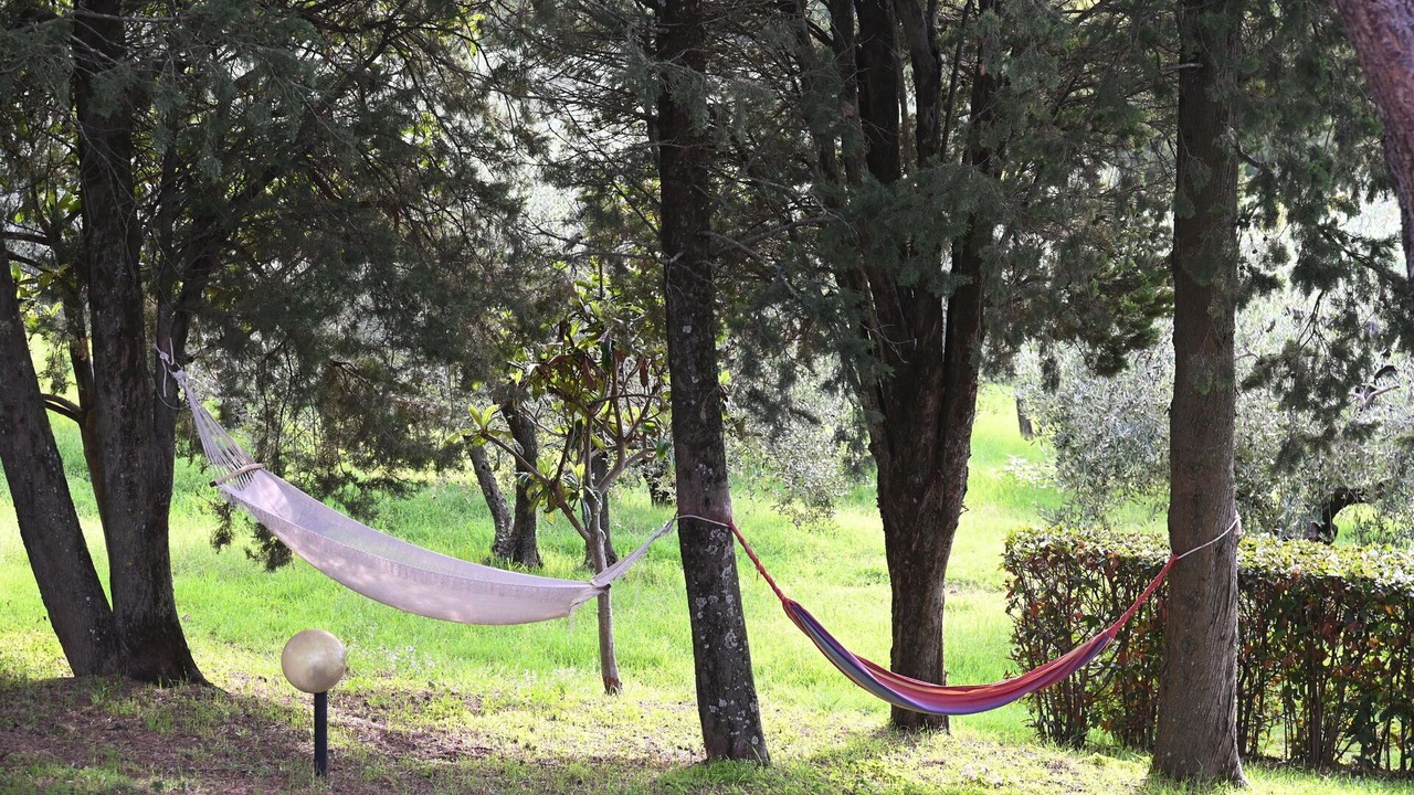 Photo of Outdoor in Certaldo