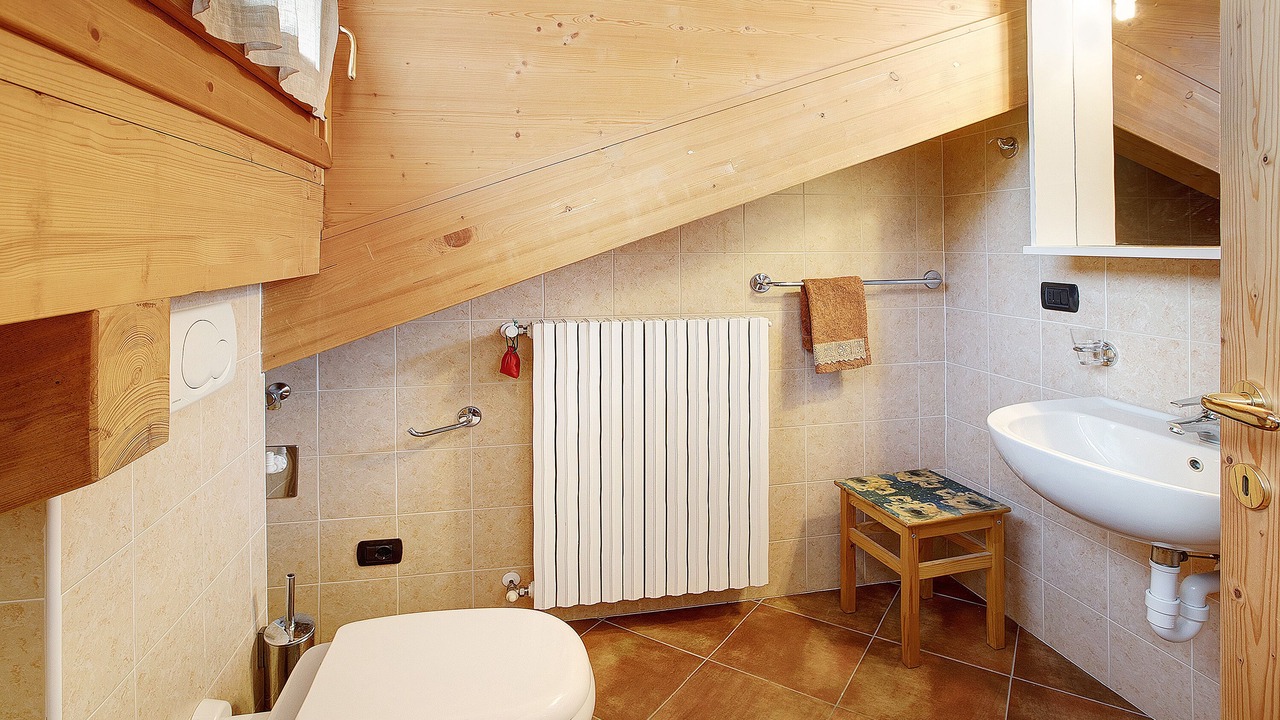 Photo of Bathroom in Santa Caterina Valfurva