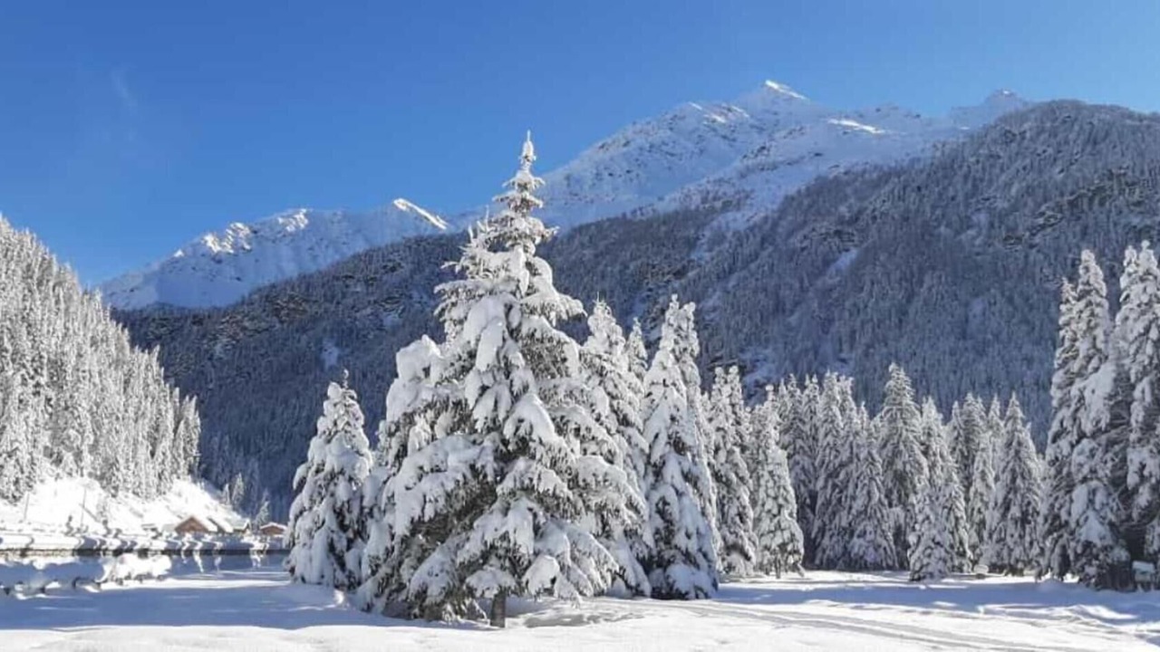 Photo of Others in Santa Caterina Valfurva