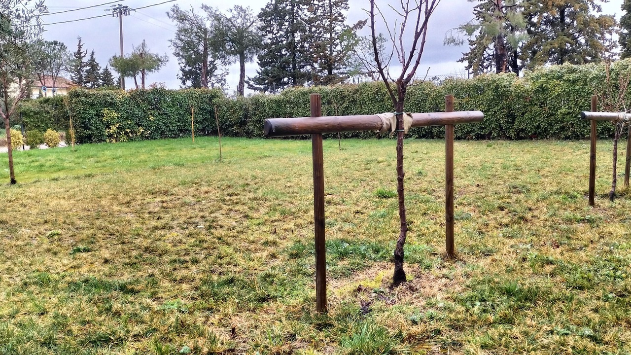 Photo of Outdoor in Coriano