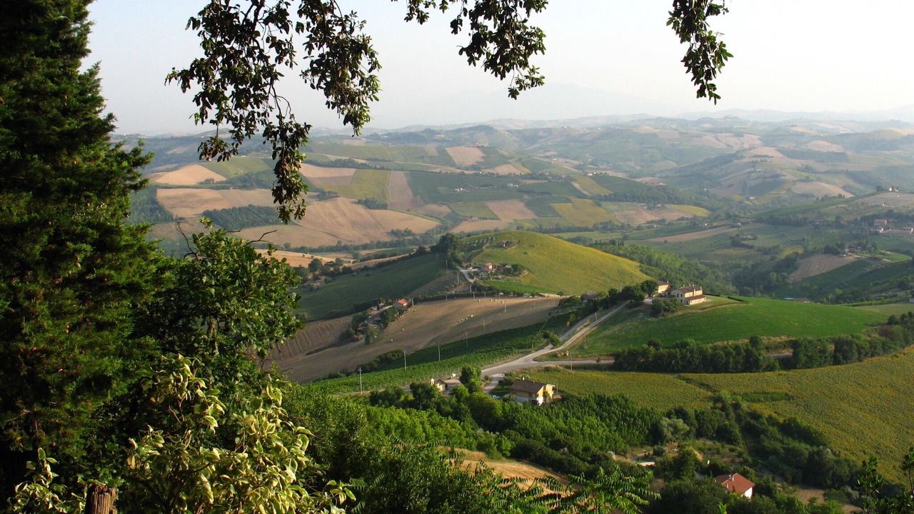 Photo of Others in Montefiore dell'Aso