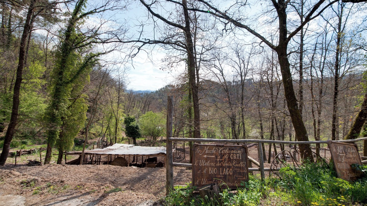 Photo of Outdoor in Carro