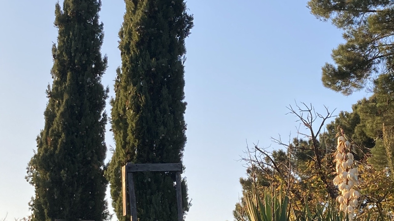 Photo of Outdoor in Gaiole in Chianti