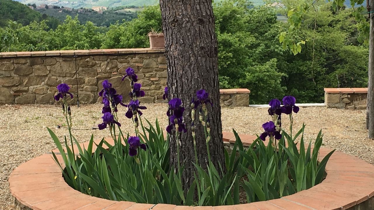 Photo of Outdoor in Gaiole in Chianti