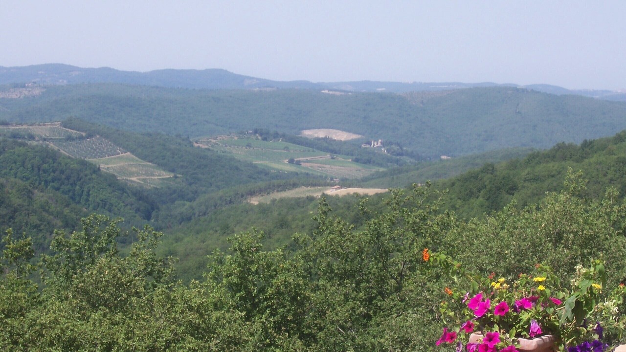 Photo of Others in Gaiole in Chianti