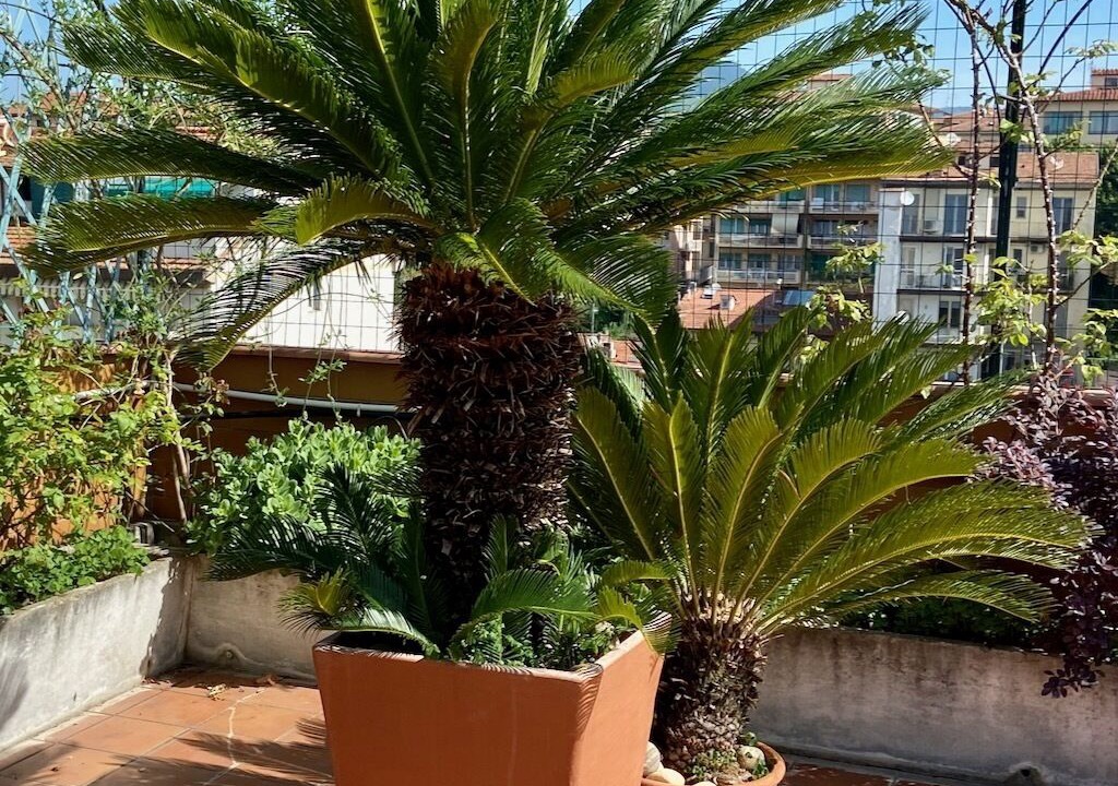 Photo of Outdoor in Careggi Rifredi