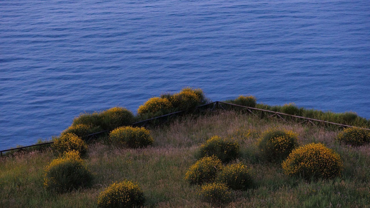 Photo of Others in Castel di Mezzo