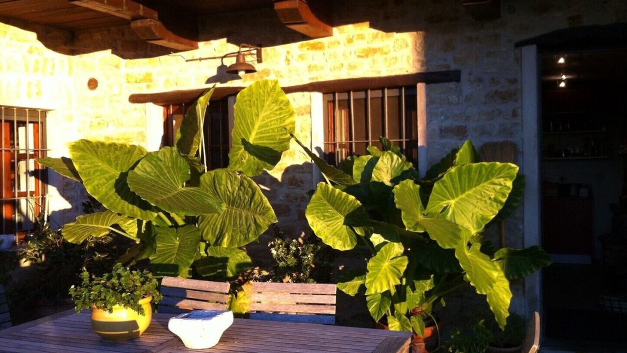 Photo of Outdoor in Castino