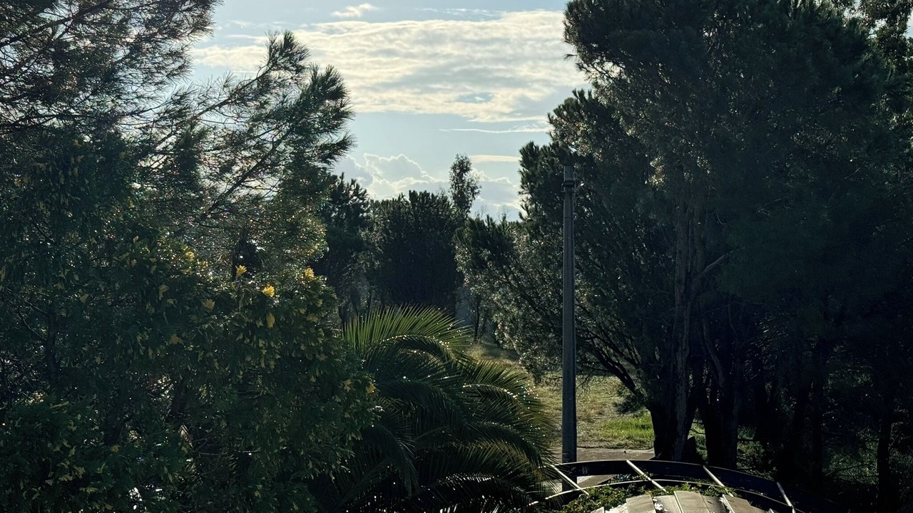 Photo of Others in Province of Messina