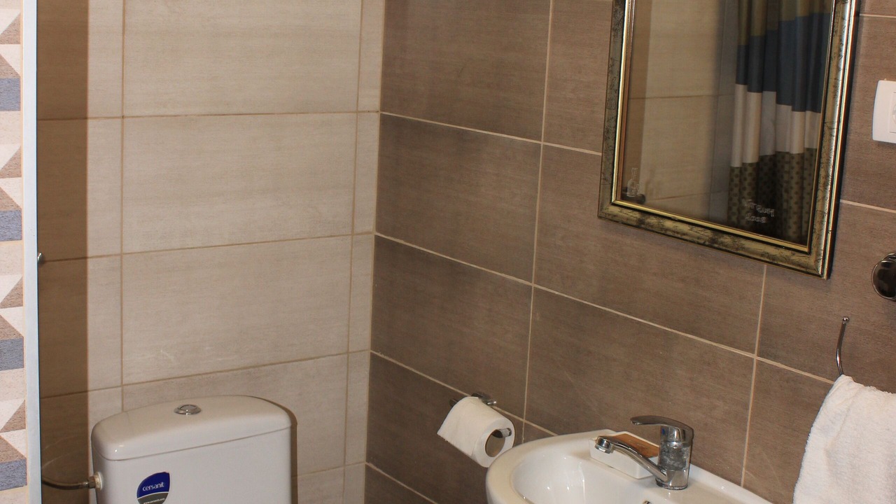 Photo of Bathroom in Petrovaradin