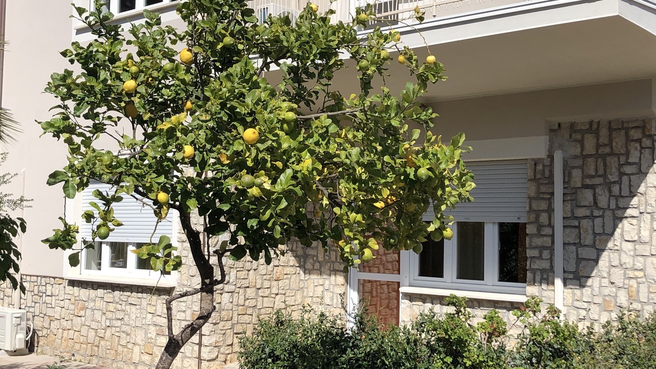 Photo of Outdoor in Fertilia