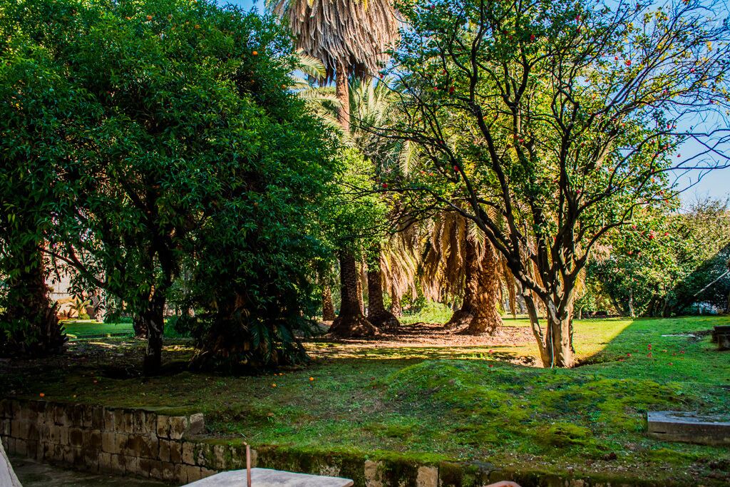 Photo of Outdoor in Chiaia