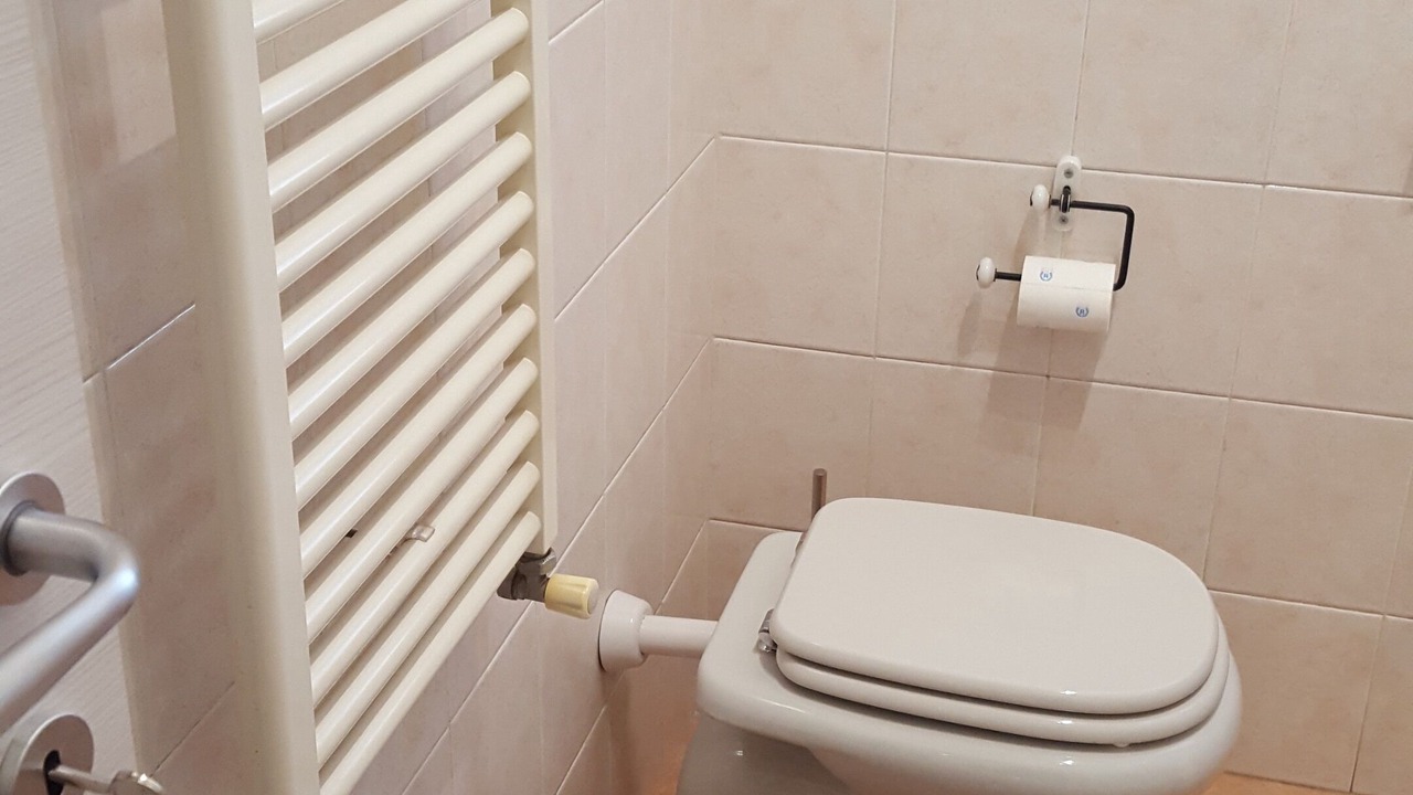 Photo of Bathroom in Bolognina