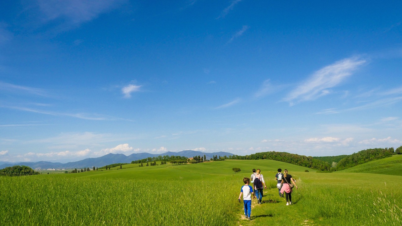 Photo of Others in Collesalvetti