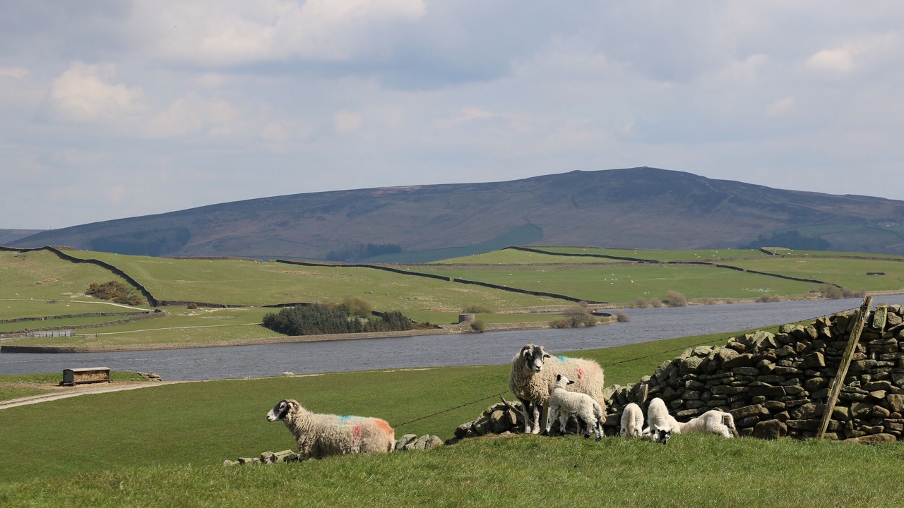 Photo of Others in Linton-in-Craven