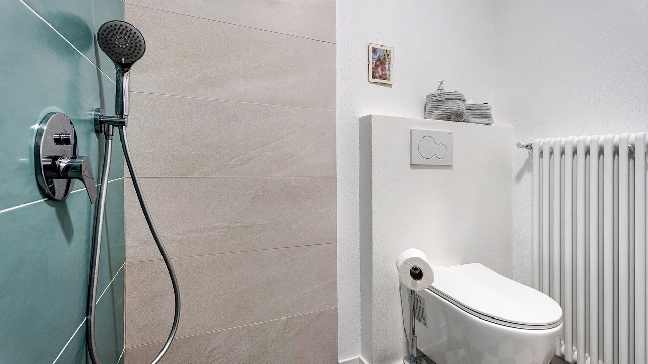 Photo of Bathroom in Ispra