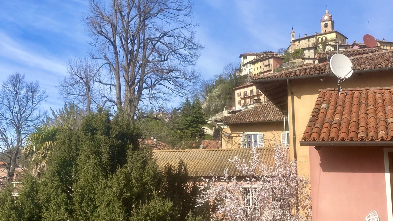 Photo of Outdoor in Monforte d'Alba