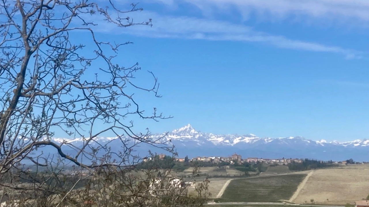 Photo of Outdoor in Monforte d'Alba