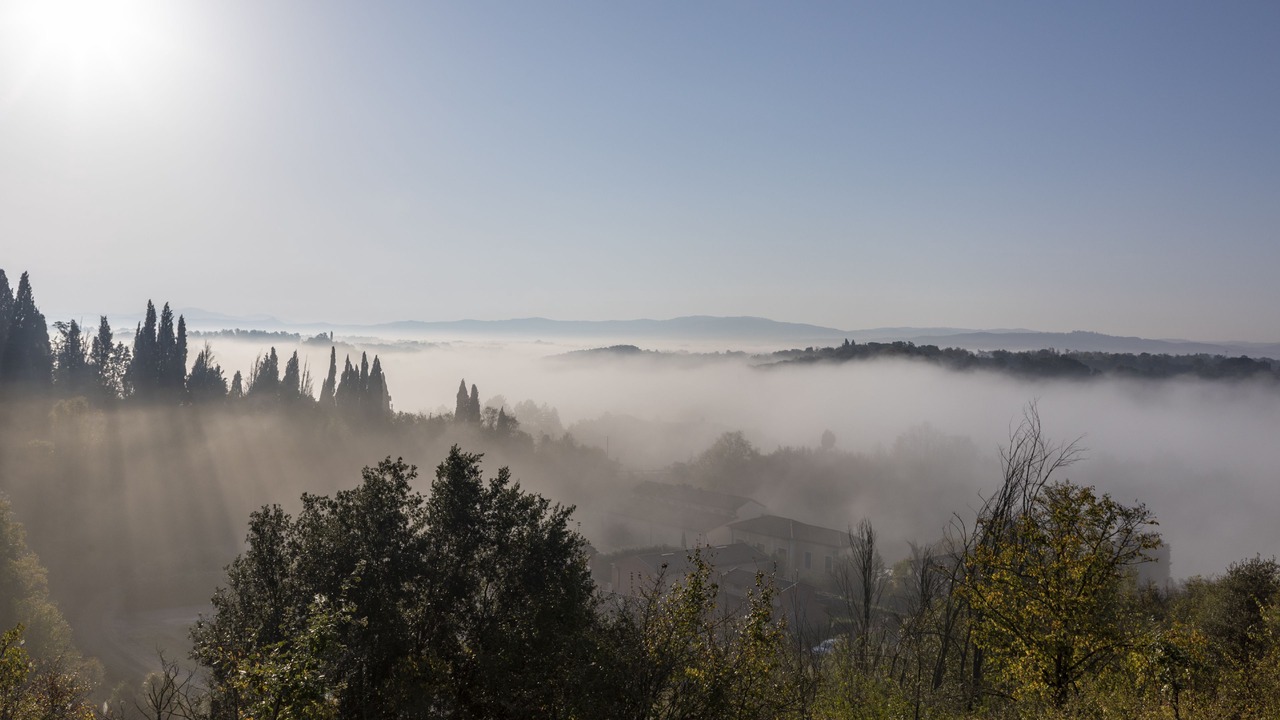 Photo of Others in Cicogna