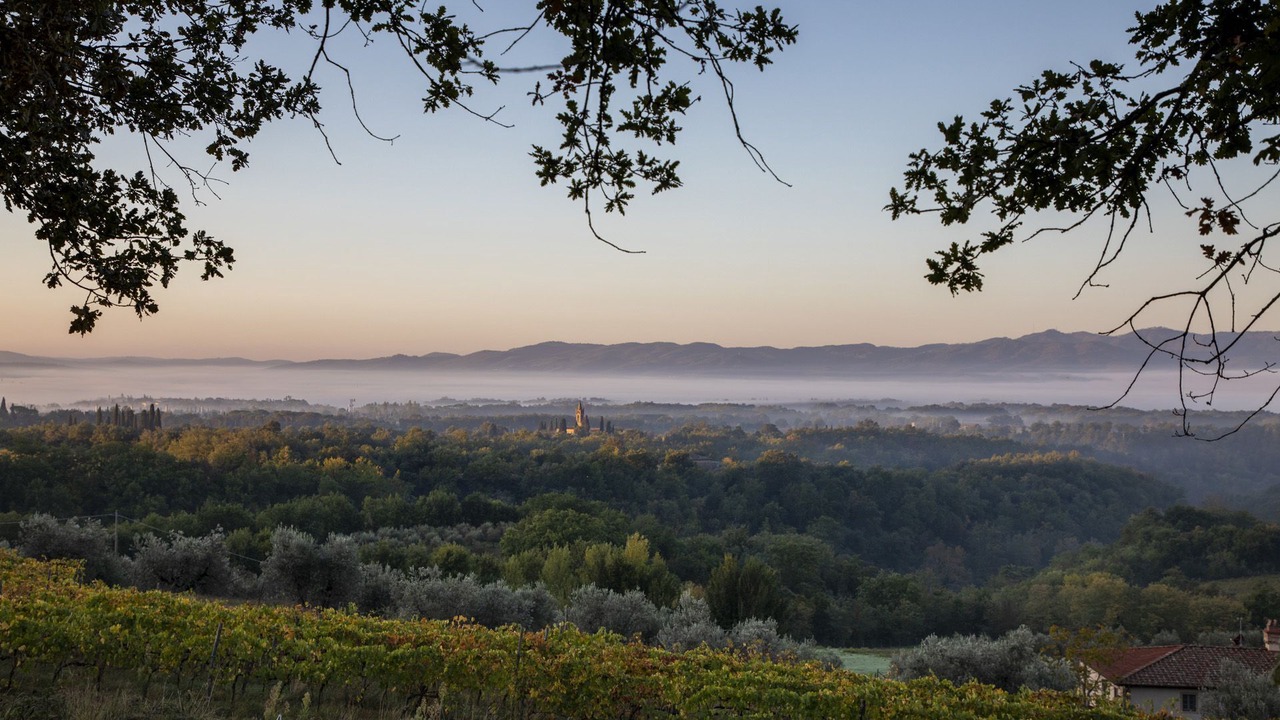 Photo of Outdoor in Cicogna