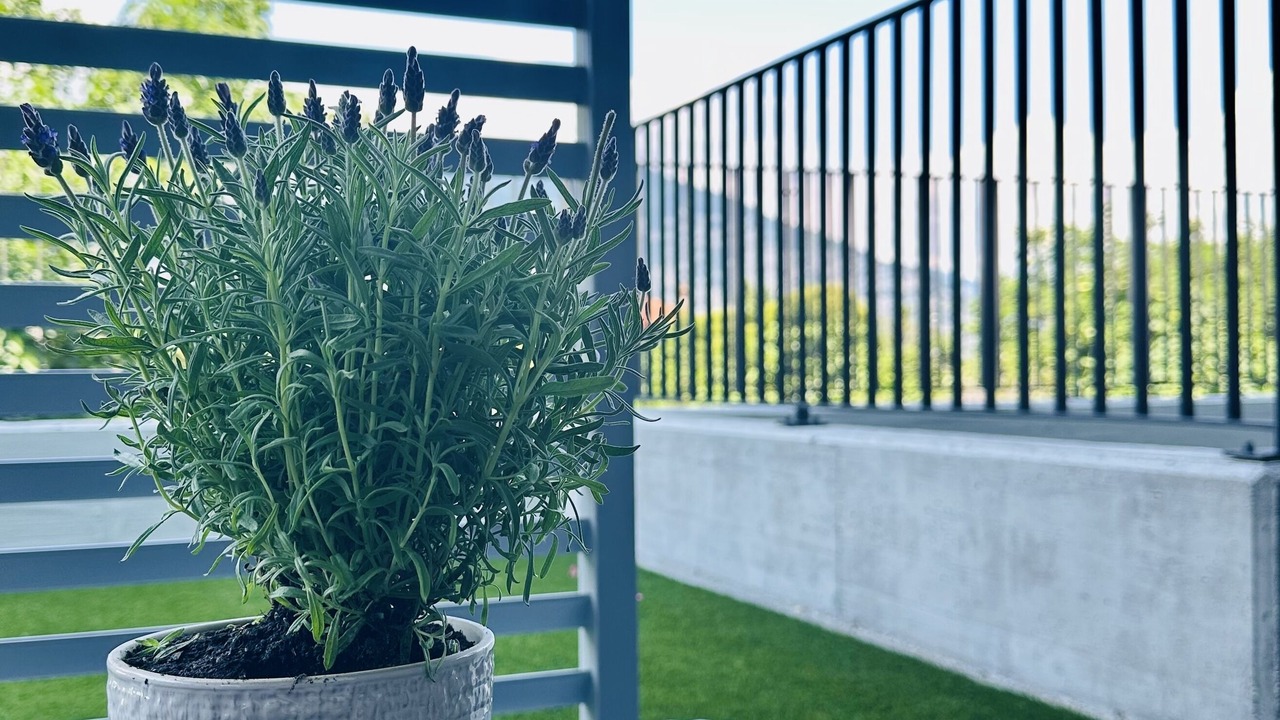 Photo of Outdoor in Iseo