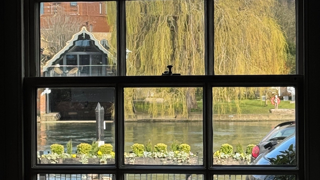 Photo of Others in Henley
