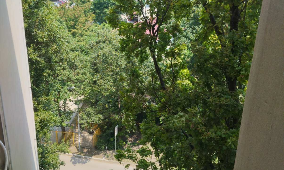 Photo of Others in Novi Sad