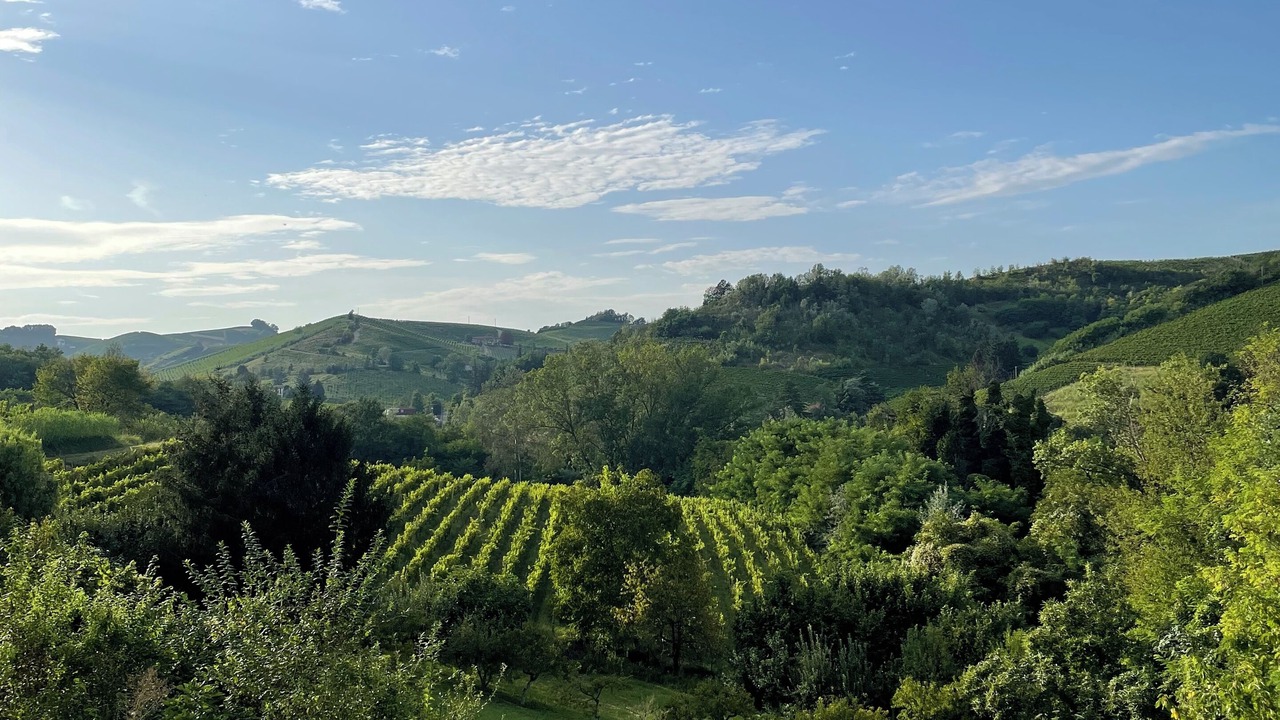 Photo of Others in Strevi