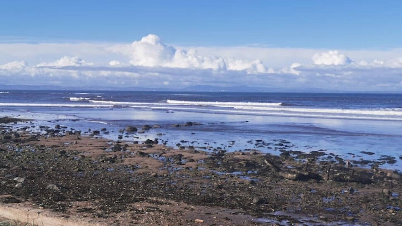 Photo of Others in Prestonpans