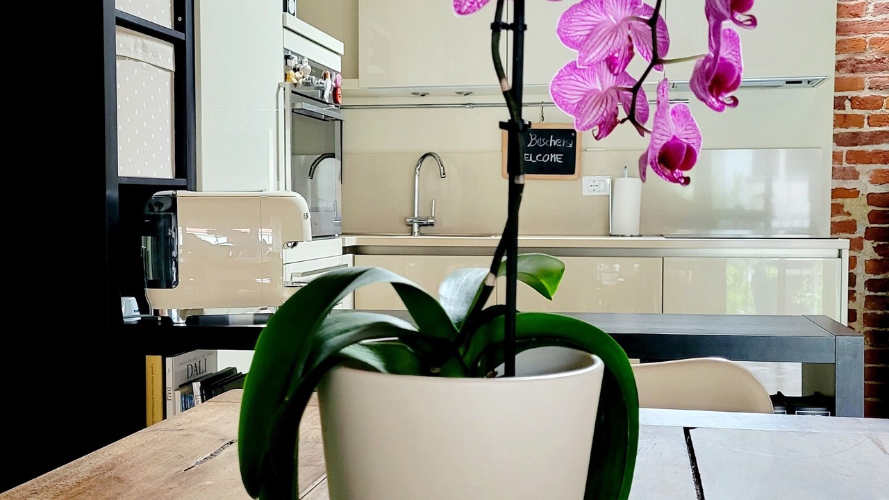 Photo of Kitchen in Bra