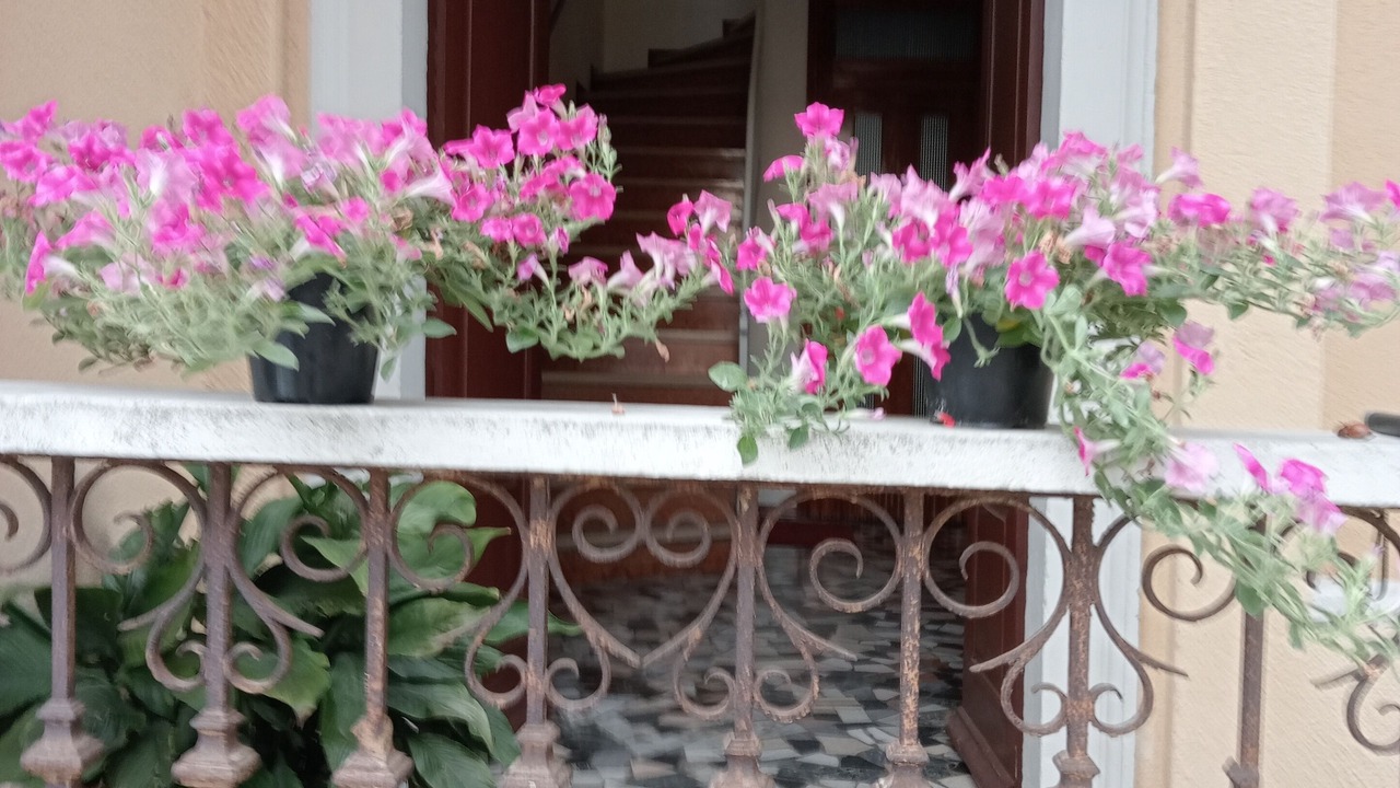 Photo of Outdoor in Ponti sul Mincio